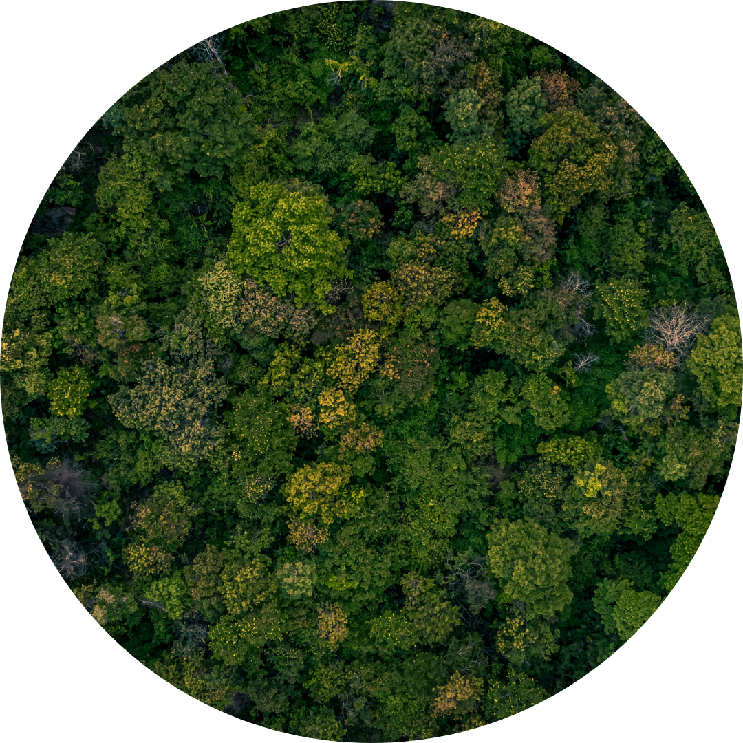 Sustentabilidade Kompack